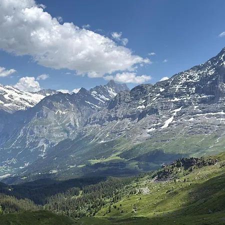 Apartment Abo - Boutique - Horst Grindelwald